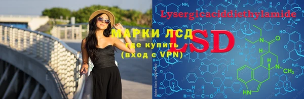 мдпв Богородицк