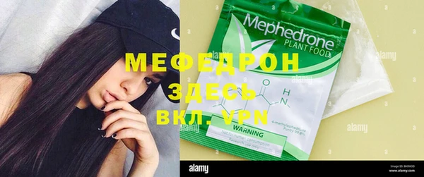 мдпв Богородицк