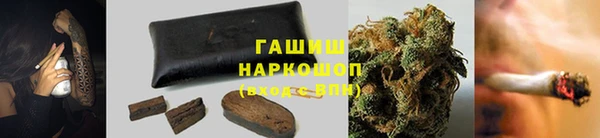 мдпв Богородицк