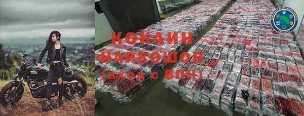 мдпв Богородицк