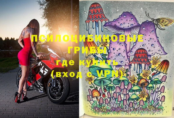 мдпв Богородицк