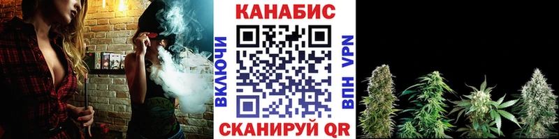 Купить закладки Аша Канабис SATIVA & INDICA